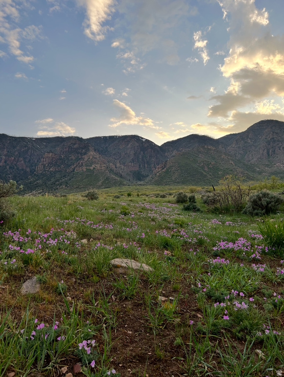 40 S STATE ST Scipio, UT 84656