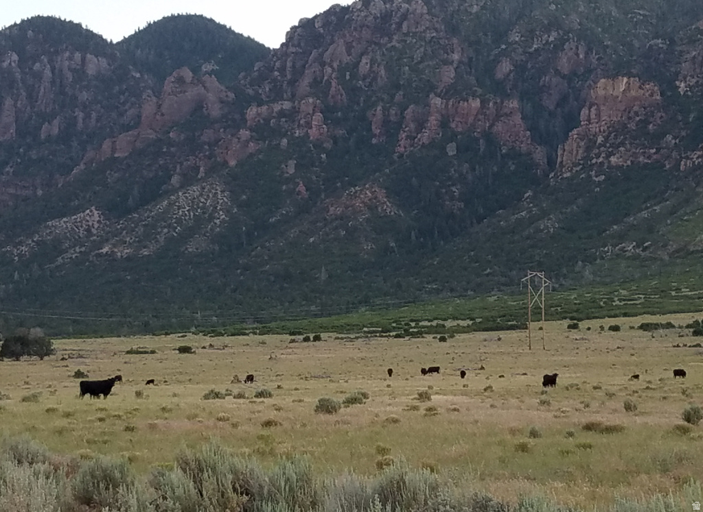 40 S STATE ST Scipio, UT 84656