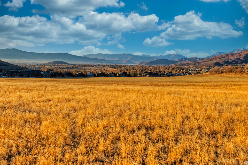 73 E ALTAMONT DR Midway, UT 84049