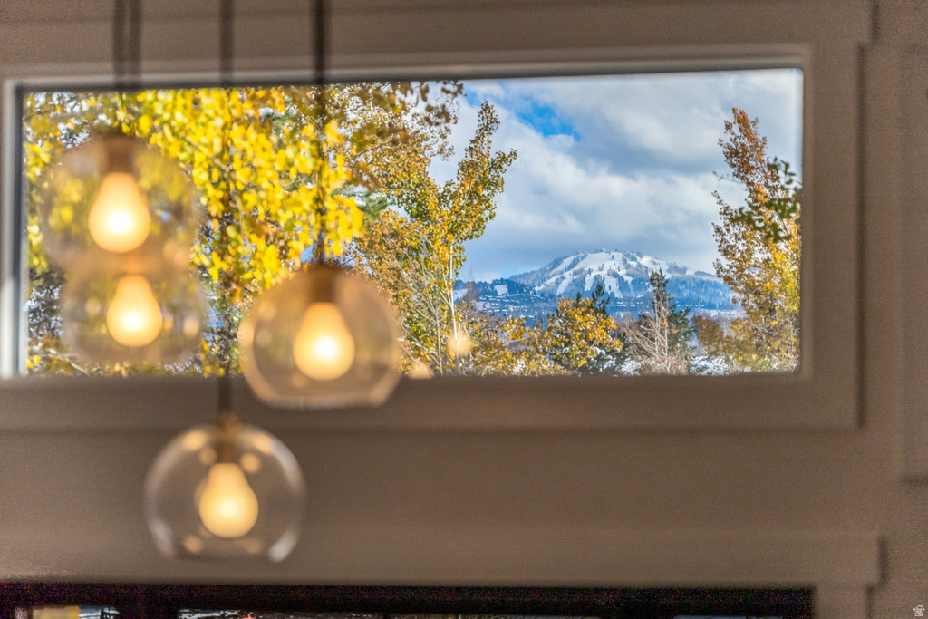 Detailed view of a mountainous background
