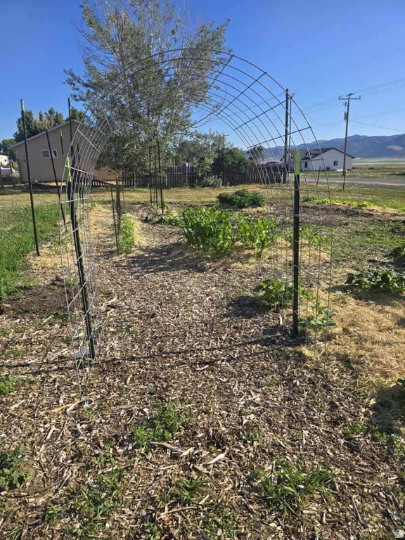 25615 N 8800 W Portage, UT 84331