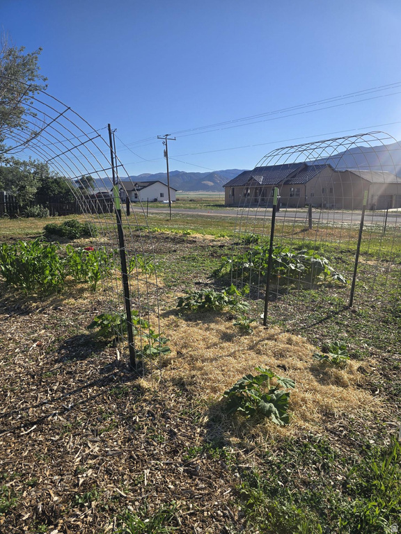 25615 N 8800 W Portage, UT 84331