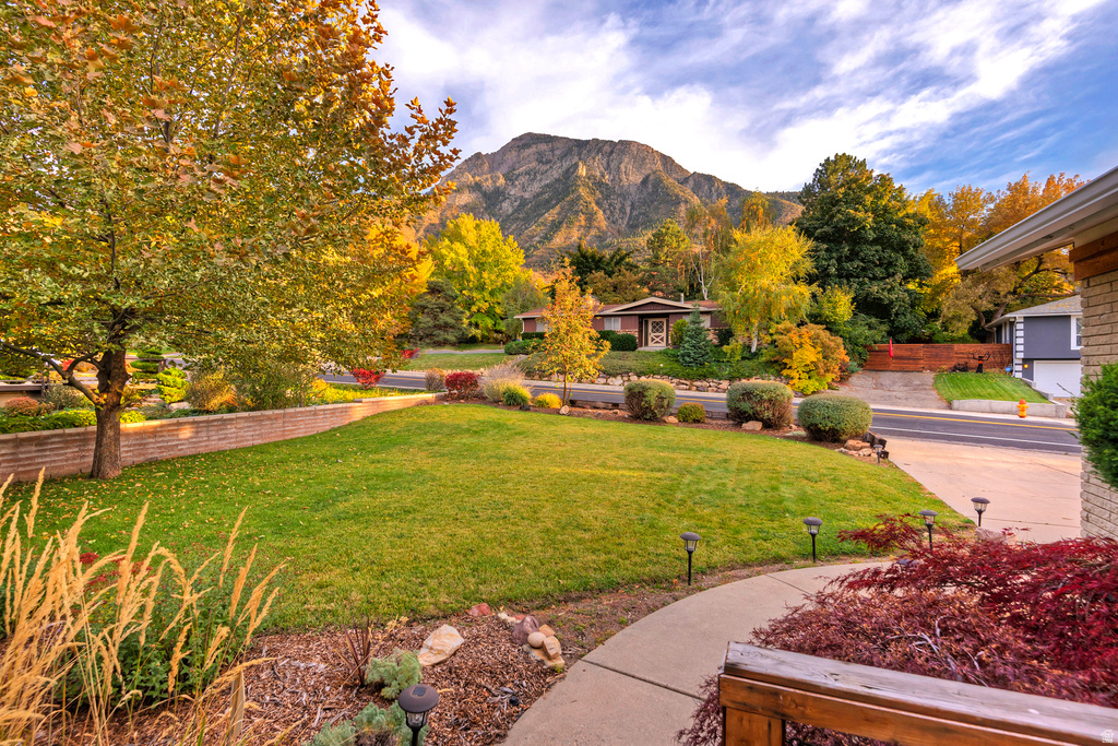 3651 E OAKVIEW DR photo 5