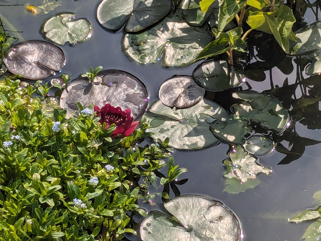 3935 S 7200 W Magna, UT 84044