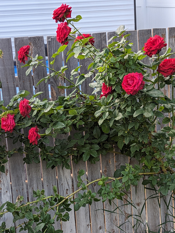 3935 S 7200 W Magna, UT 84044