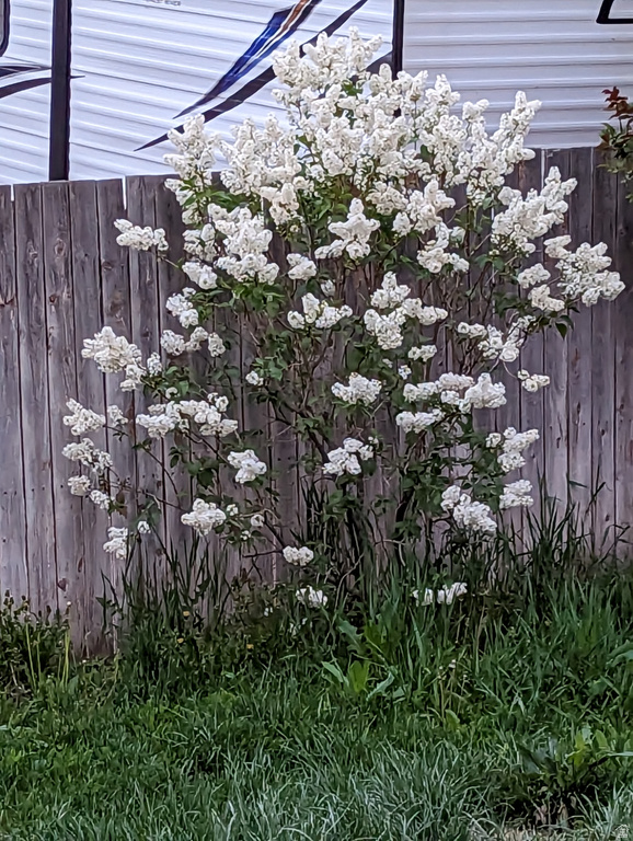 3935 S 7200 W Magna, UT 84044