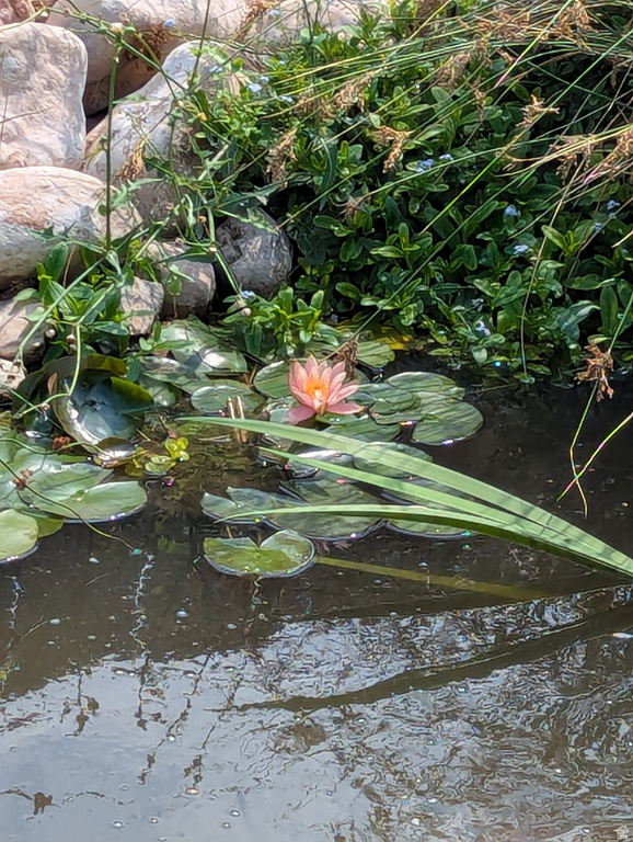 3935 S 7200 W Magna, UT 84044