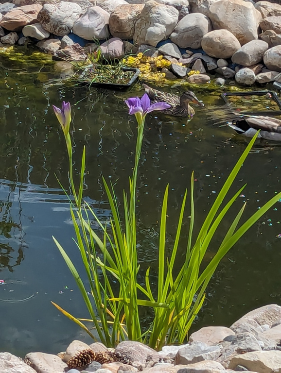 3935 S 7200 W Magna, UT 84044