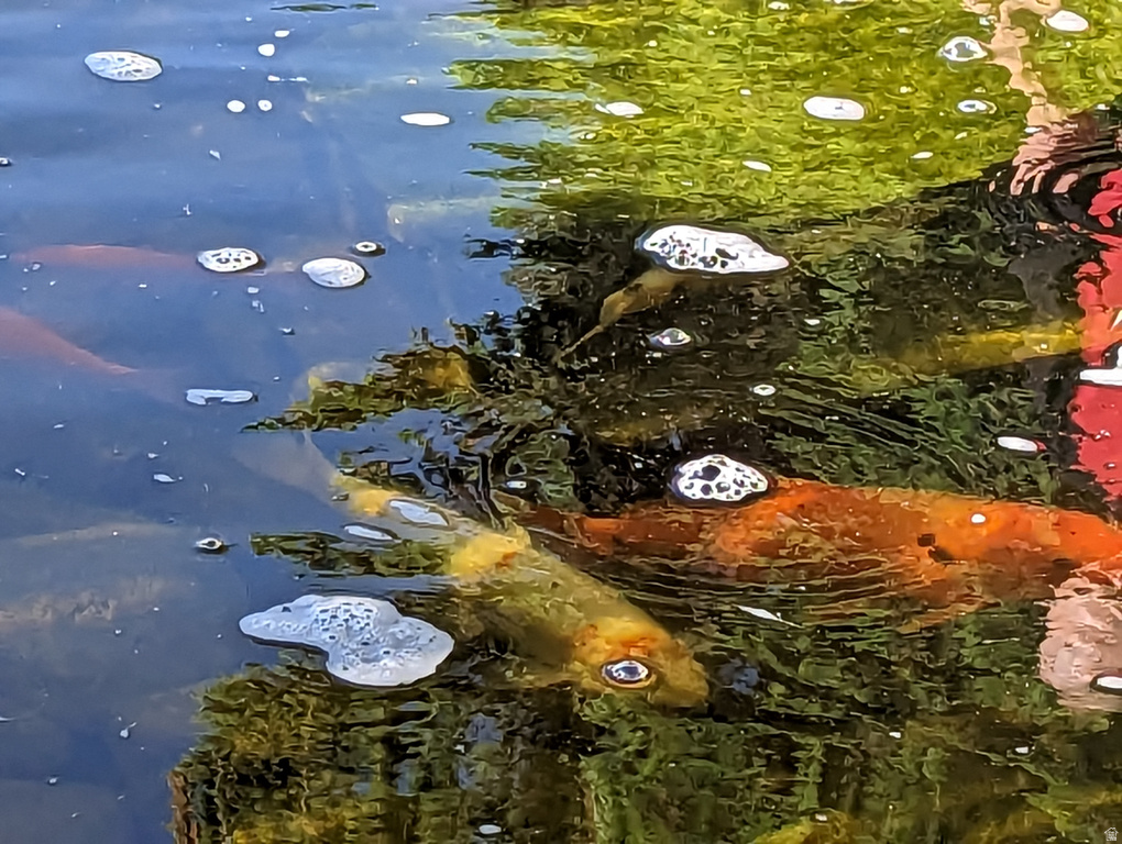 3935 S 7200 W Magna, UT 84044