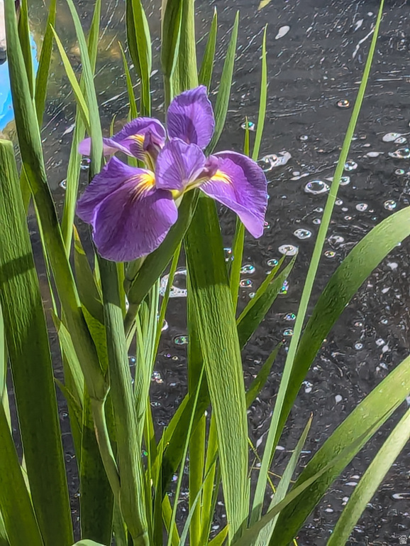 3935 S 7200 W Magna, UT 84044