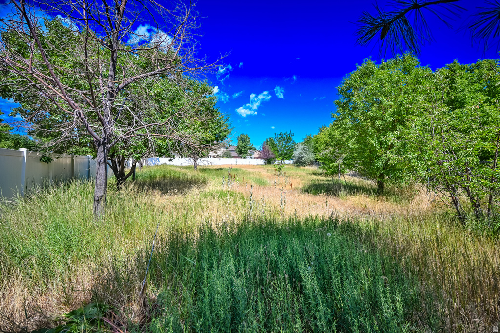 847 E WILLOW SPRINGS LN Draper, UT 84020