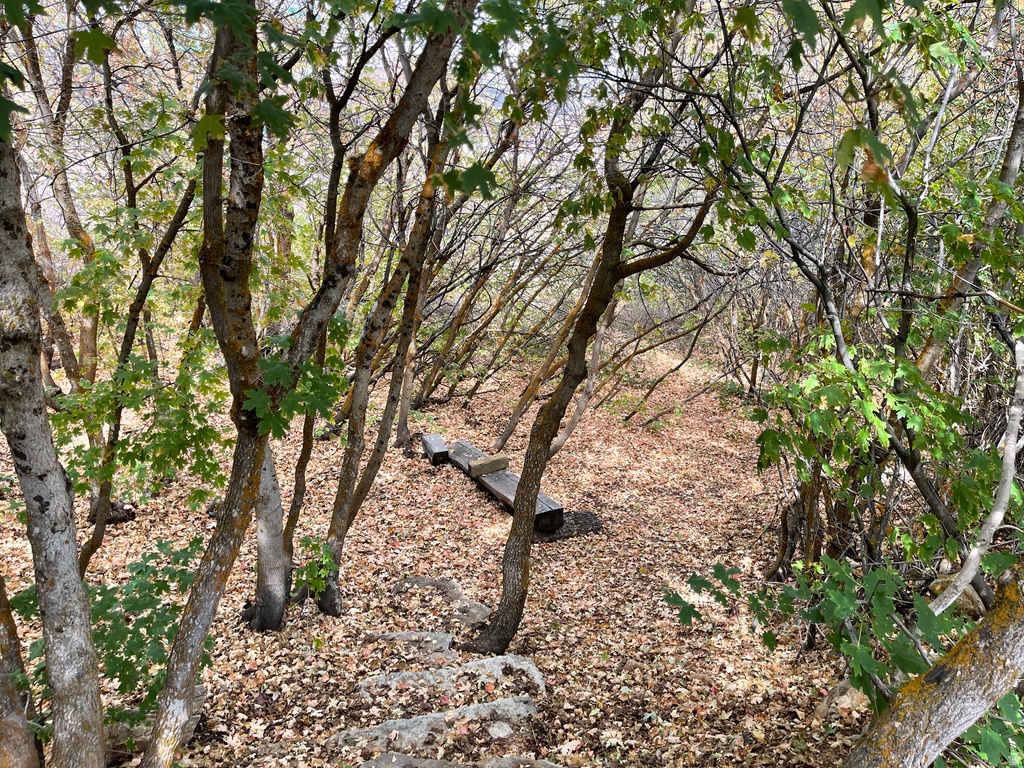 553 W RASPBERRY PATCH RD Garden City, UT 84028