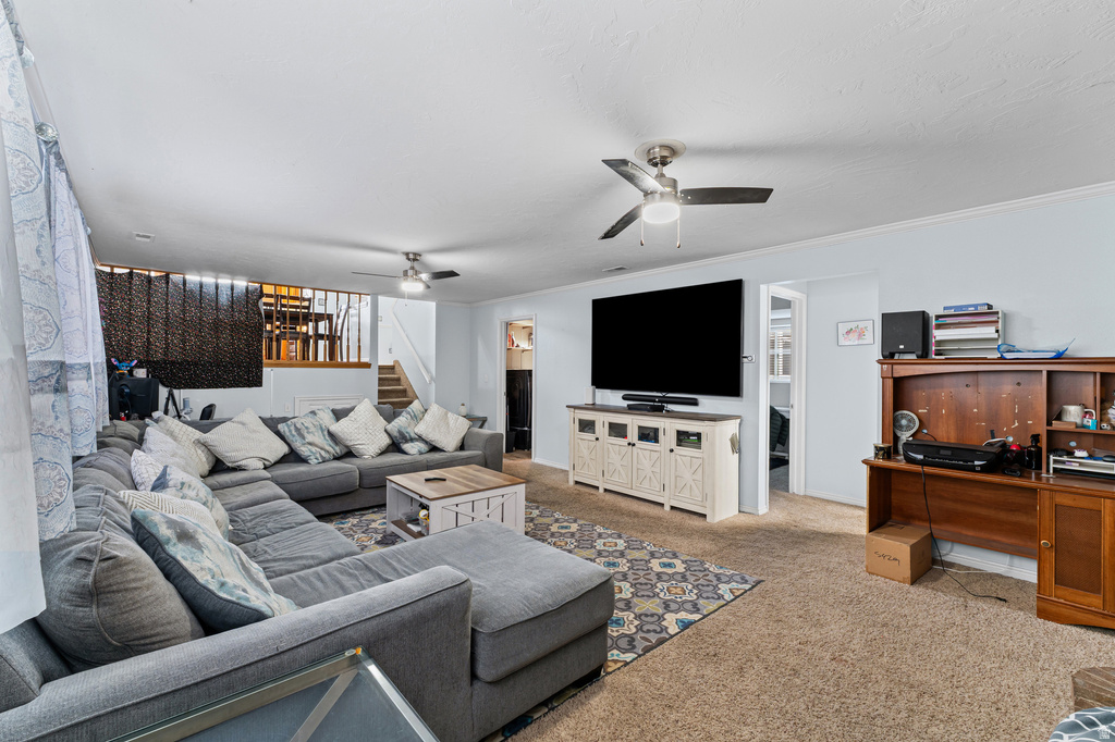 538 W 1120 N Orem, UT 84057