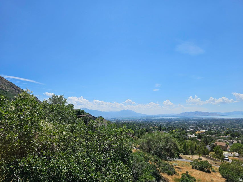 4457  MILE HIGH DR Provo, UT 84604