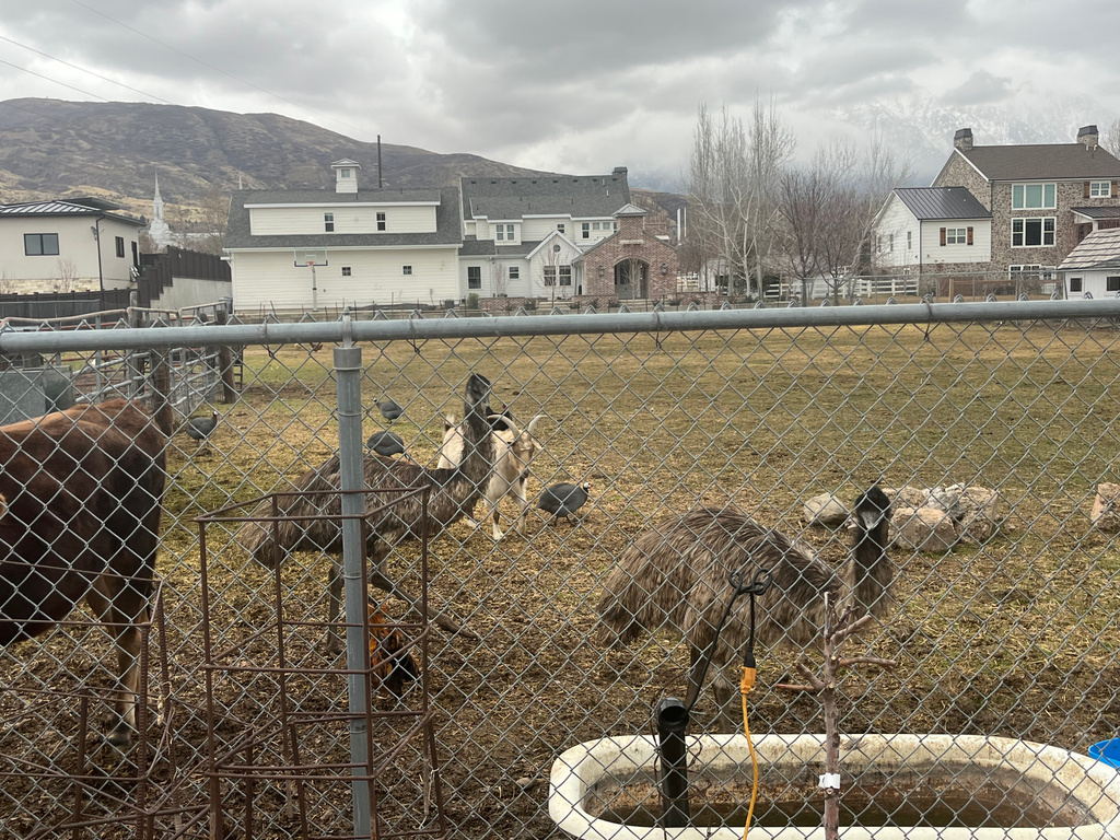 127 S 400 E Lindon, UT 84042