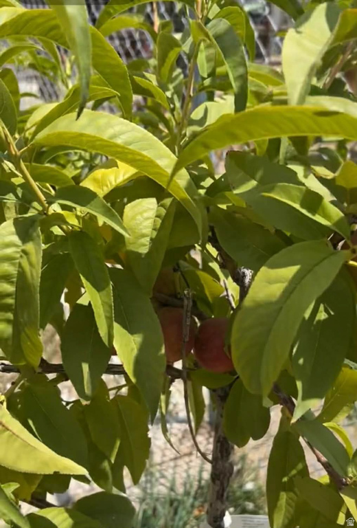 127 S 400 E Lindon, UT 84042