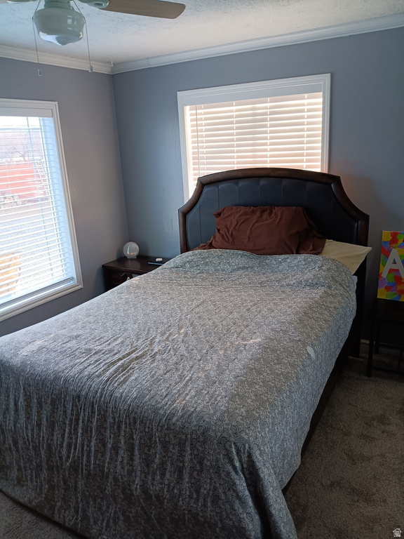 290 N 100 ST Beaver, UT 84713