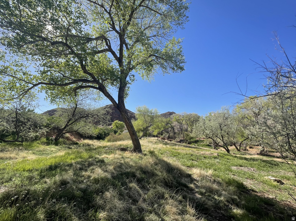 1389 E POWERHOUSE LN Moab, UT 84532