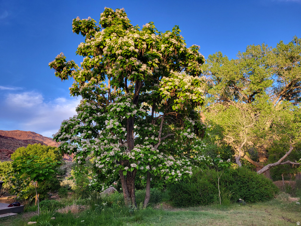 1389 E POWERHOUSE LN Moab, UT 84532