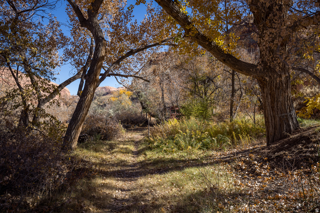 1389 E POWERHOUSE LN Moab, UT 84532