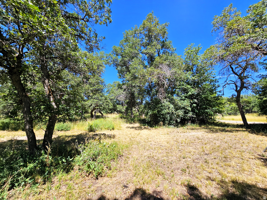 31 JUNIPER DR #31 Fairview, UT 84629