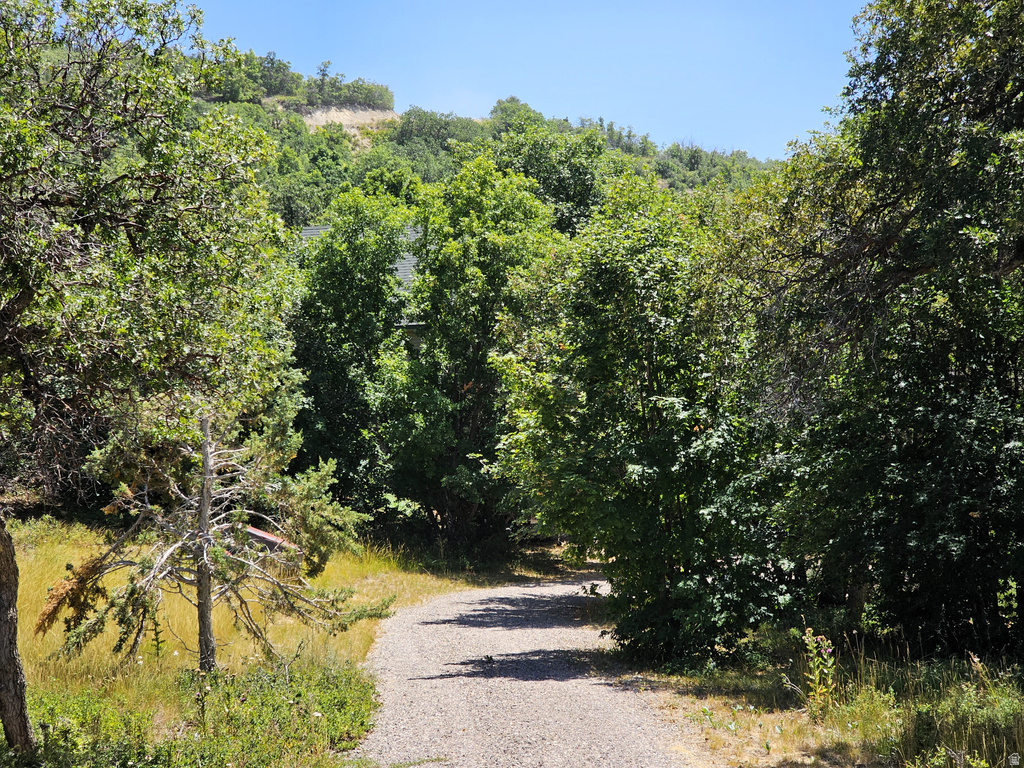 31 JUNIPER DR #31 Fairview, UT 84629