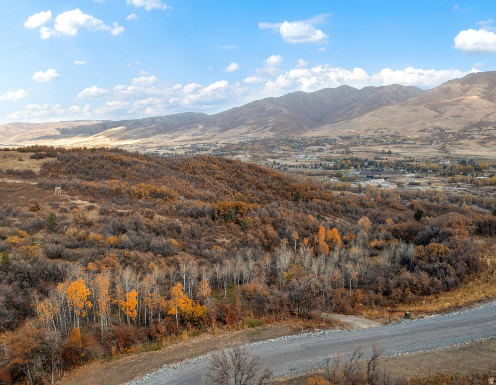 1993 N SHAMY WAY Eden, UT 84310