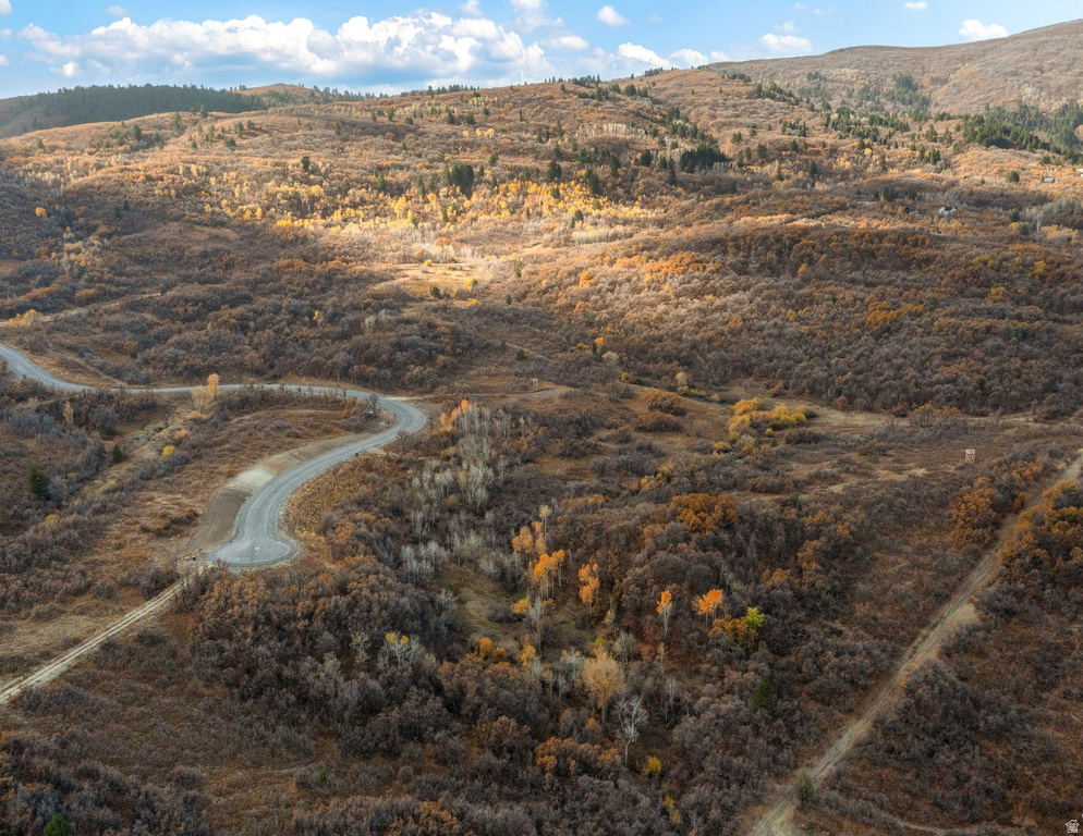 1993 N SHAMY WAY Eden, UT 84310