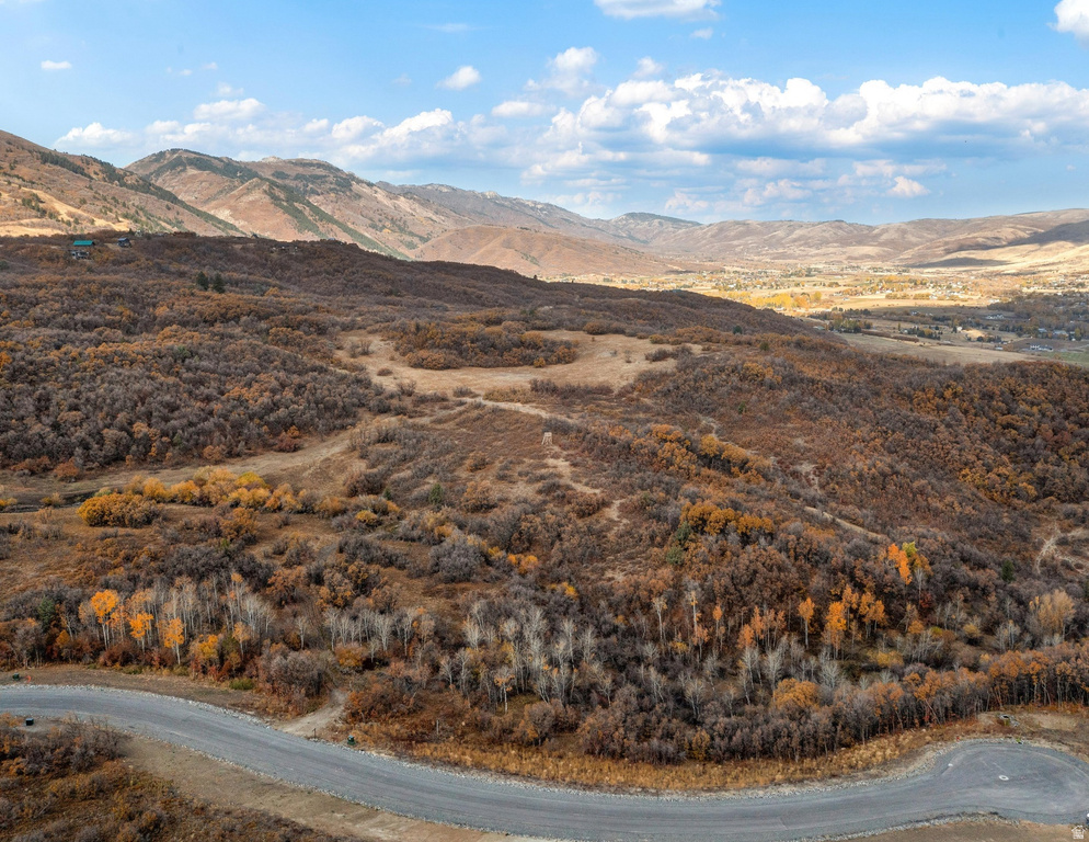 1993 N SHAMY WAY Eden, UT 84310