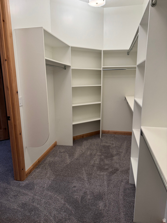 11521 S BLACK FOREST DR Sandy, UT 84094