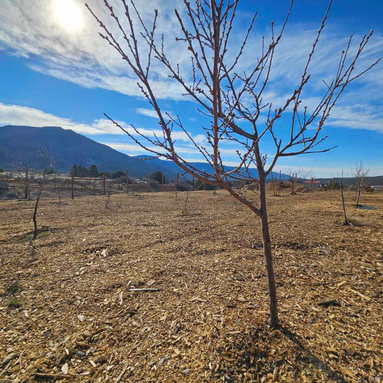 2204 S OLD HIGHWAY 91 New Harmony, UT 84757