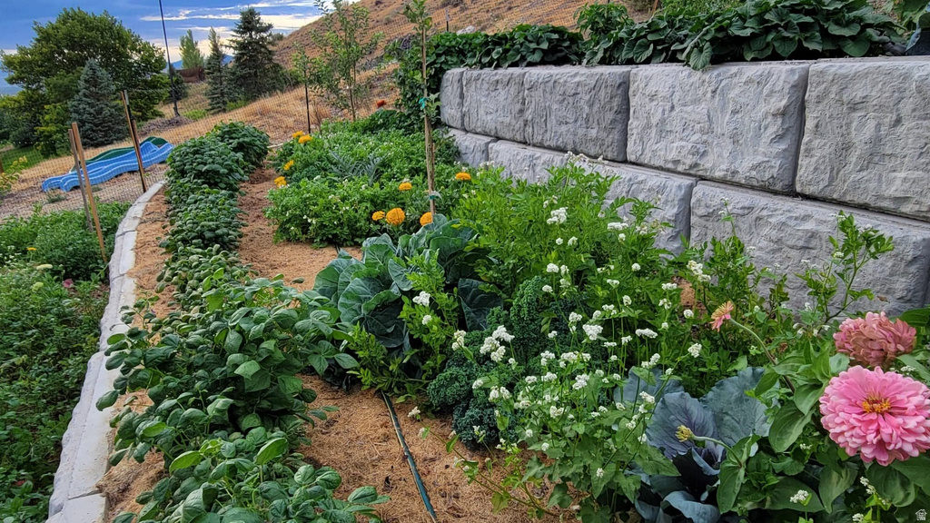 899 E 1190 N Pleasant Grove, UT 84062