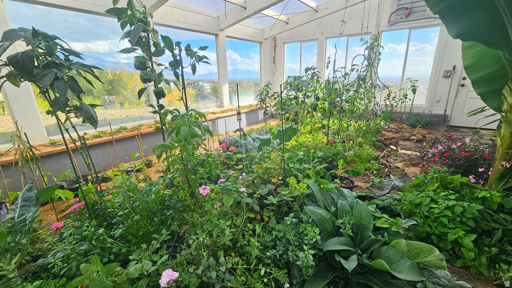 899 E 1190 N Pleasant Grove, UT 84062