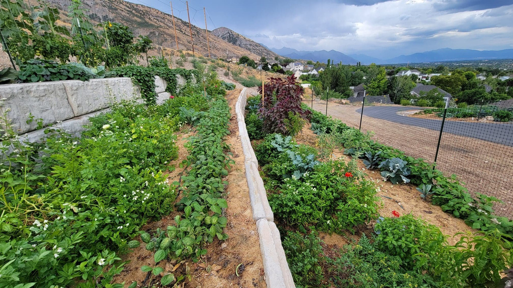 899 E 1190 N Pleasant Grove, UT 84062