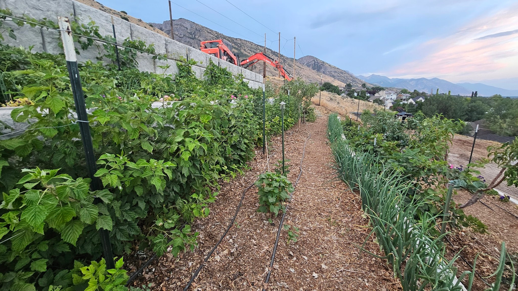 899 E 1190 N Pleasant Grove, UT 84062