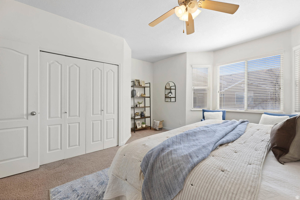 3979 W SCARSBOROUGH LN West Jordan, UT 84084