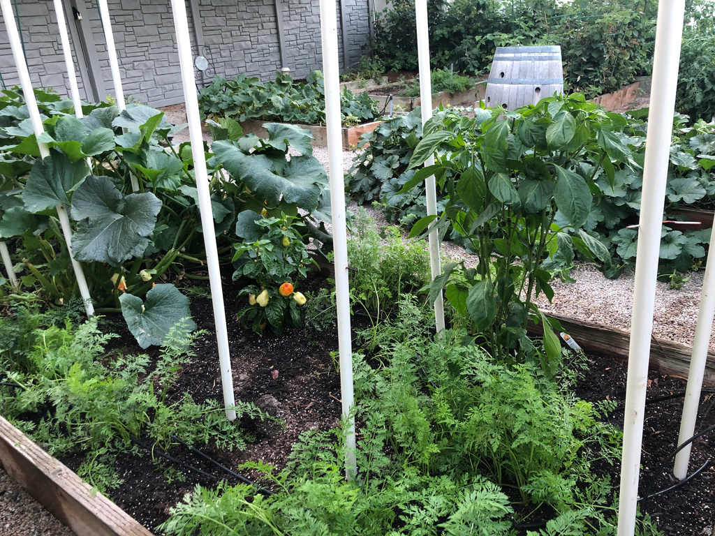 11787 S HISTORY DR South Jordan, UT 84095