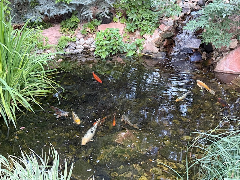 11787 S HISTORY DR South Jordan, UT 84095