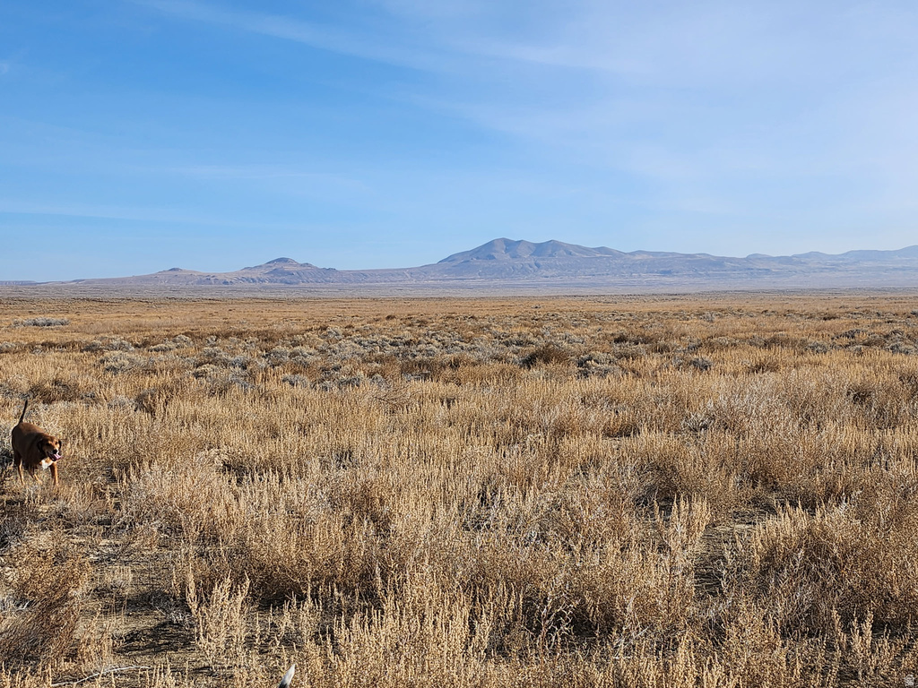  Park Valley, UT 84329