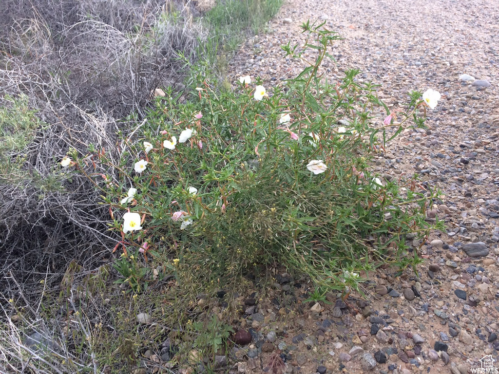 998 W COTTONWOOD AVE Bluff, UT 84512