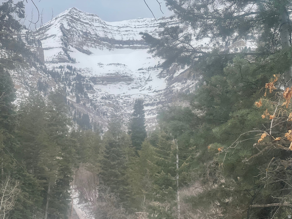 3060 E DEER RUN ROAD Sundance, UT 84604