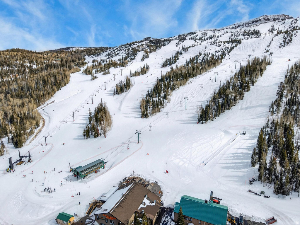 407 S VASELS RD #24 Brian Head, UT 84719