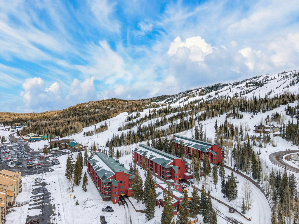 407 S VASELS RD #24 Brian Head, UT 84719