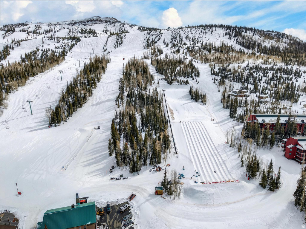 407 S VASELS RD #24 Brian Head, UT 84719