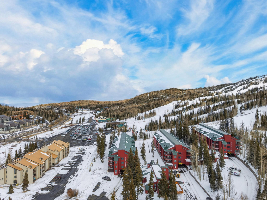 407 S VASELS RD #24 Brian Head, UT 84719