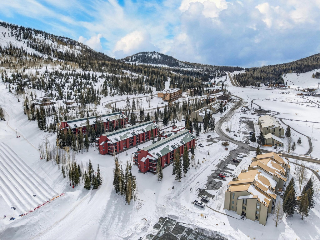 407 S VASELS RD #24 Brian Head, UT 84719