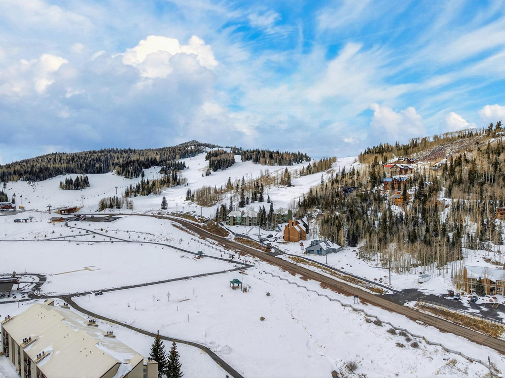 407 S VASELS RD #24 Brian Head, UT 84719