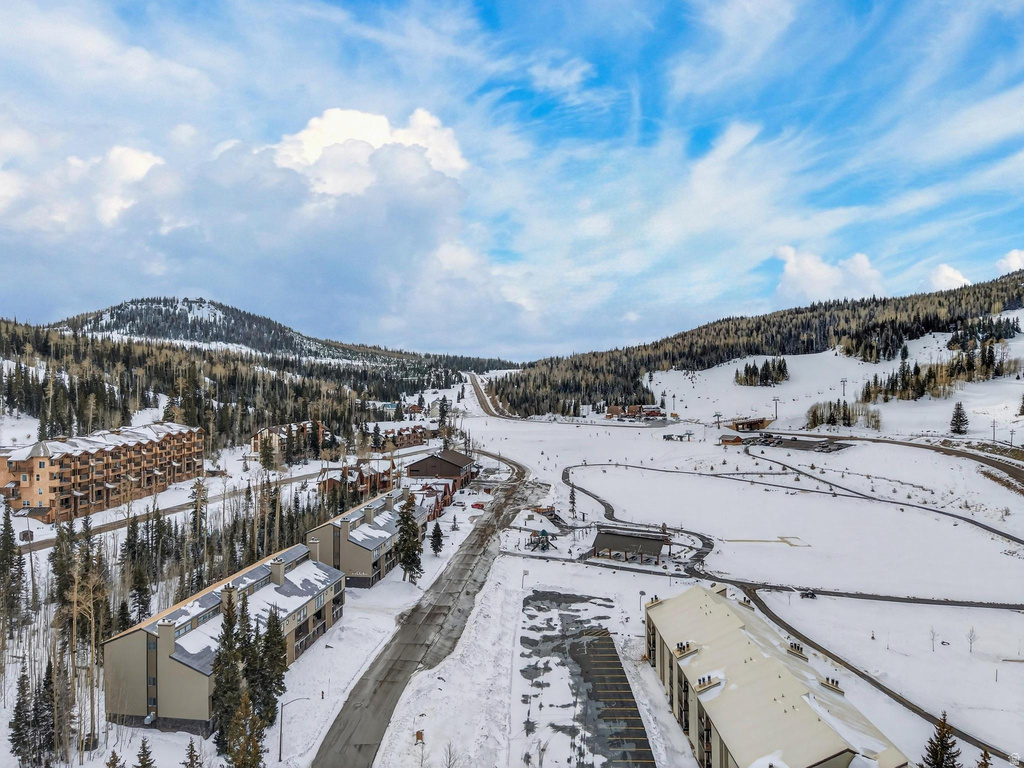 407 S VASELS RD #24 Brian Head, UT 84719