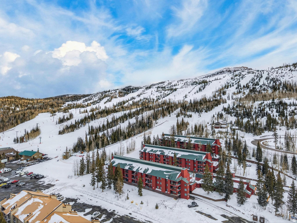 407 S VASELS RD #24 Brian Head, UT 84719