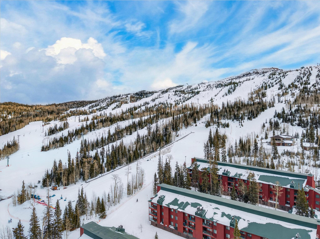 407 S VASELS RD #24 Brian Head, UT 84719